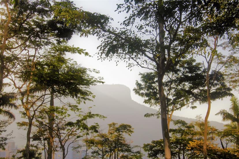 Roteiro de viagem pela Pedra Branca
